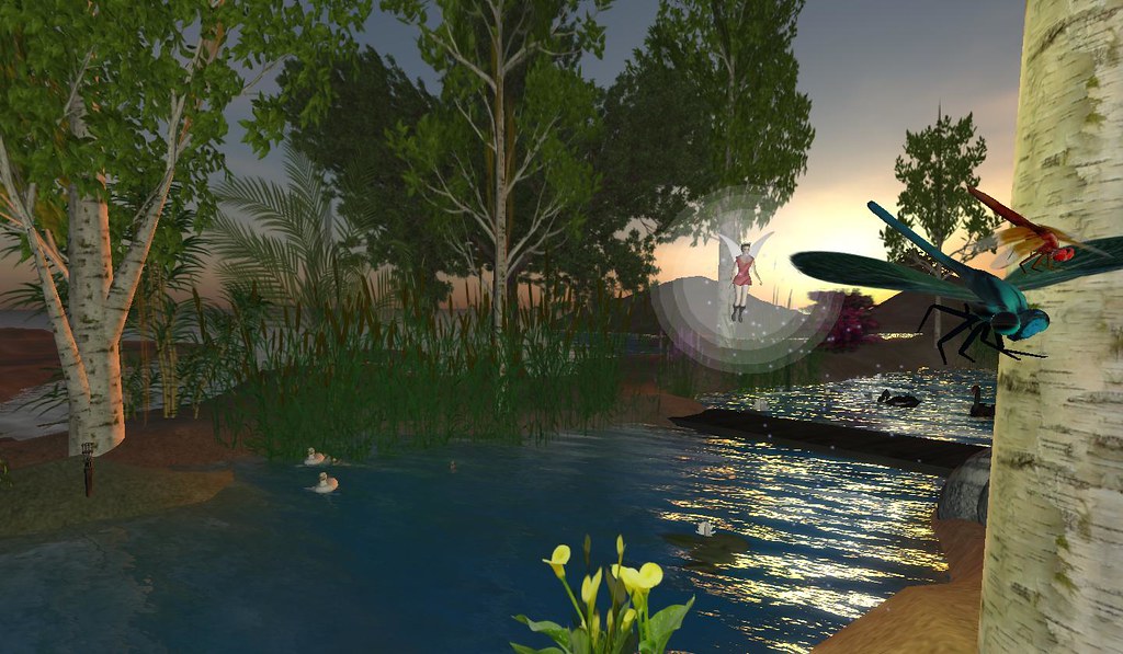 Pixies, Dragon Flies, Ducks and More